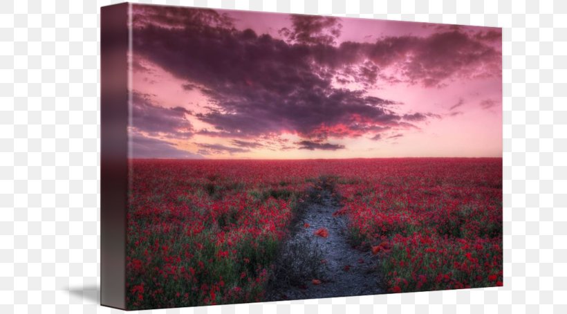 Painting Picture Frames Flower Sky Plc, PNG, 650x454px, Painting, Flower, Heat, Landscape, Picture Frame Download Free