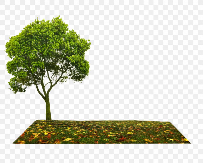 Tree Clip Art, PNG, 900x720px, Tree, Branch, Deviantart, Grass, Houseplant Download Free