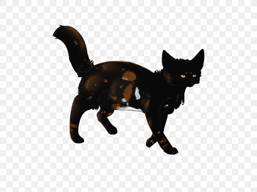 Black Cat Kitten Whiskers Domestic Short-haired Cat, PNG, 1890x1417px, Black Cat, Animal, Animal Figure, Canidae, Carnivoran Download Free