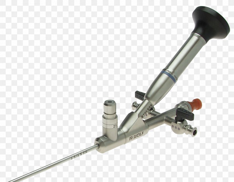 Capsule Endoscopy Medicine Surgery Urology, PNG, 1392x1080px, Endoscopy, Auto Part, Capsule Endoscopy, Delhi, Endoscope Download Free