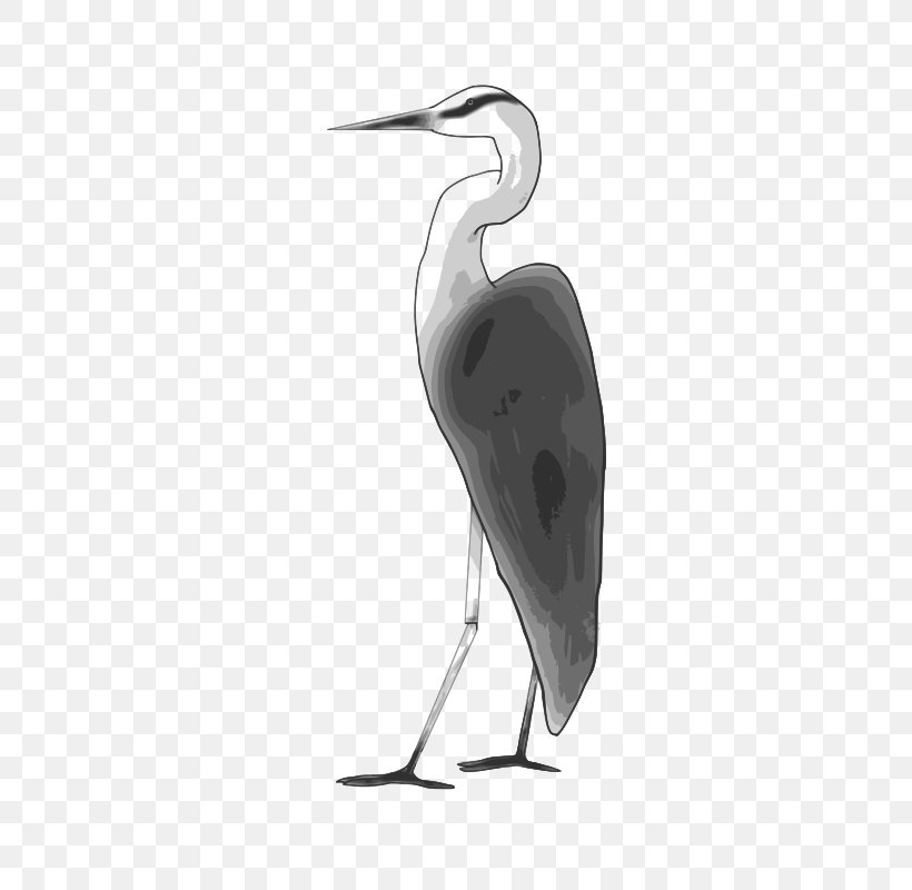 Crane Public Domain Egret Water Bird Clip Art, PNG, 369x800px, Crane, Beak, Bird, Black And White, Ciconiiformes Download Free