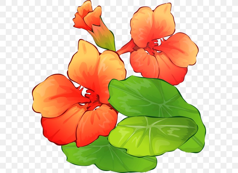 Flower Free Content Clip Art, PNG, 600x595px, Flower, Annual Plant, Computer, Document, Floral Design Download Free