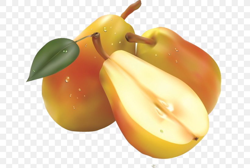 Fruit Salad Pear Clip Art, PNG, 649x553px, Fruit Salad, Apple, Diet Food, Food, Fruit Download Free