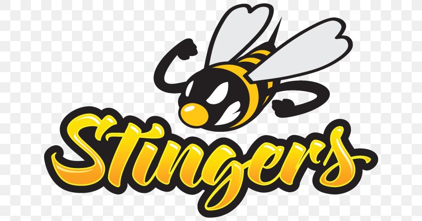 Honey Bee Stinger Junior Varsity Team Clip Art, PNG, 663x430px, Honey Bee, Area, Artwork, Basketball, Bee Download Free