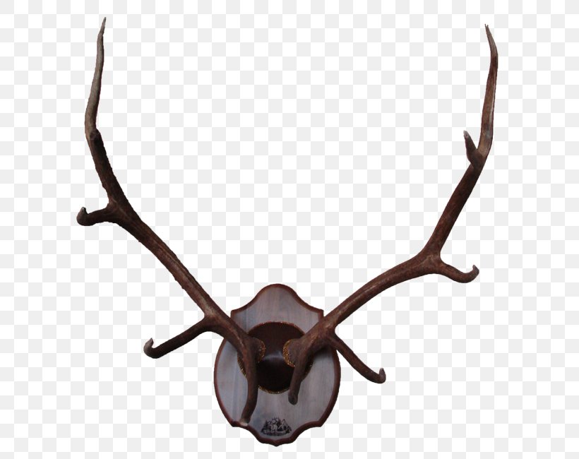 Reindeer Elk Antler Moose, PNG, 633x650px, Deer, Animal, Animal Product, Antler, Biggame Hunting Download Free