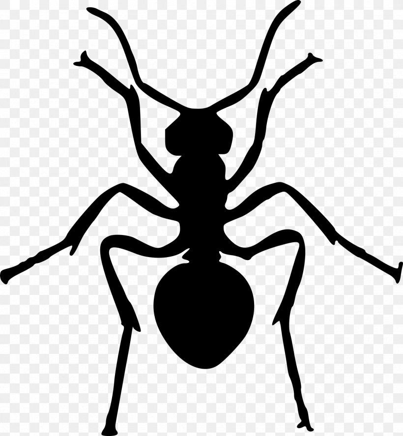 Ant Silhouette Drawing Clip Art, PNG, 1773x1920px, Ant, Art, Arthropod, Artwork, Black And White Download Free