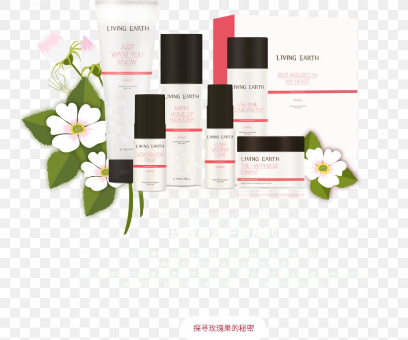 Perfume Brand, PNG, 857x716px, Perfume, Brand, Cosmetics, Flower Download Free