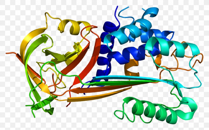 Plasminogen Activator Inhibitor-2 Plasminogen Activator Inhibitor-1 Serpin, PNG, 928x577px, Watercolor, Cartoon, Flower, Frame, Heart Download Free
