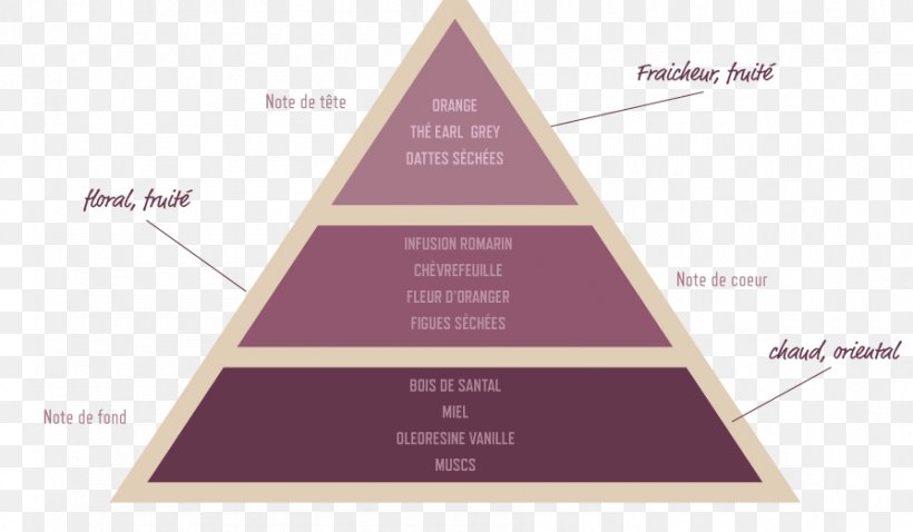 Triangle Brand Font, PNG, 895x522px, Triangle, Brand, Diagram, Purple, Text Download Free