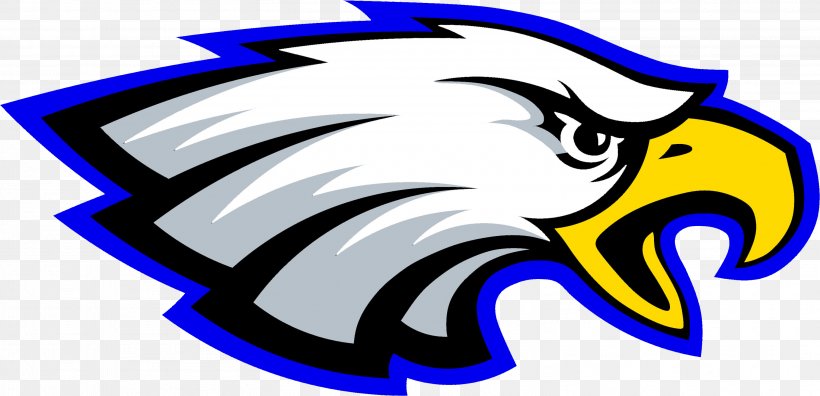 Carver Middle School Gilroy Unified School District National Secondary School, PNG, 3023x1463px, Carver Middle School, American Football, Artwork, Beak, Education Download Free