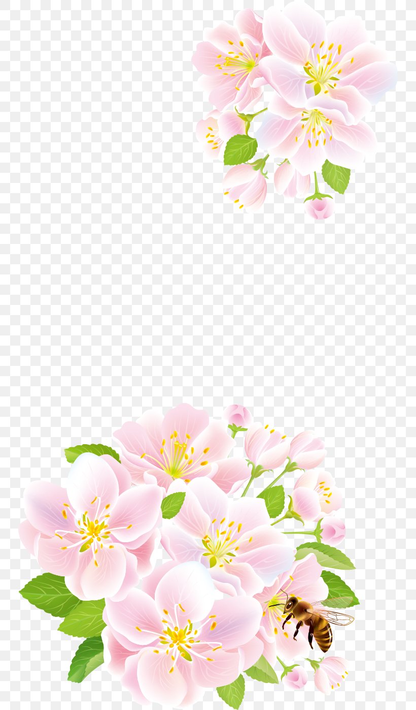 Flower Rose Clip Art, PNG, 748x1397px, Flower, Blossom, Branch, Cherry Blossom, Cut Flowers Download Free