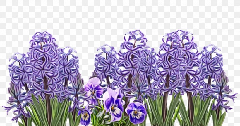 Lavender, PNG, 960x503px, Watercolor, Flower, Flowering Plant, Grass, Hyacinth Download Free