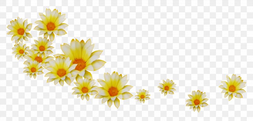 Petal Flower Chrysanthemum Clip Art Desktop Wallpaper, PNG, 2739x1315px, Petal, Camomile, Chamaemelum Nobile, Chamomile, Chrysanthemum Download Free