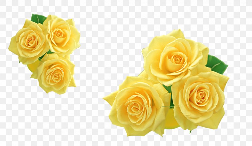 Rose Yellow Flower Clip Art, PNG, 1007x586px, Rose, Cut Flowers, Floral Design, Floristry, Flower Download Free