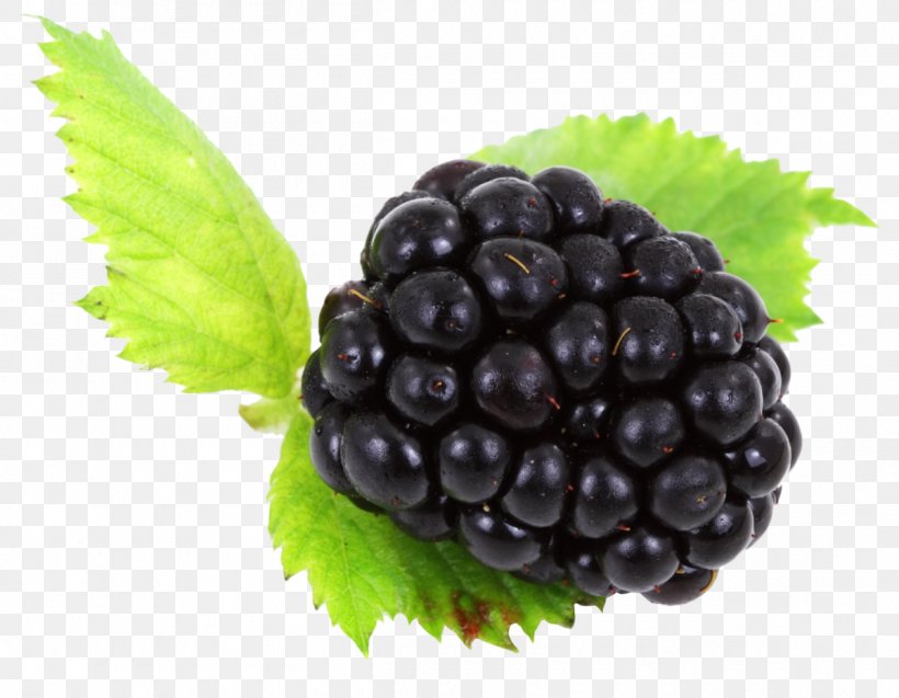 BlackBerry KeyOne BlackBerry Z10 BlackBerry Limited Clip Art, PNG, 1200x933px, Blackberry Keyone, Berries, Berry, Bilberry, Blackberry Download Free