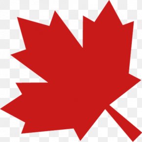 Canada Flag T Shirt Images Canada Flag T Shirt Transparent Png Free Download - transparent maple leaf for canada day roblox