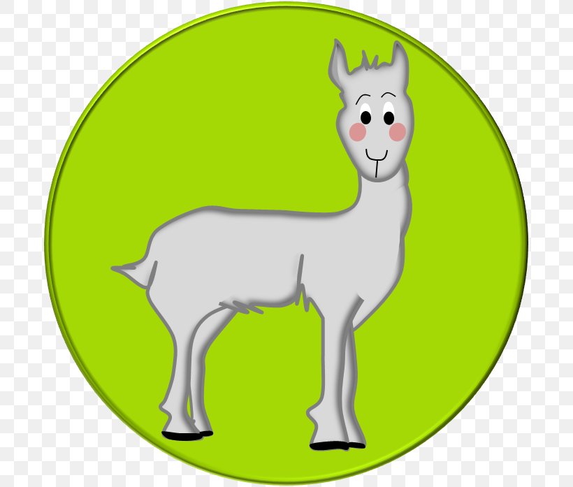 Llama Alpaca Sheep Vicuña Wool, PNG, 697x697px, Llama, Alpaca, Angora Rabbit, Animal, Camel Like Mammal Download Free