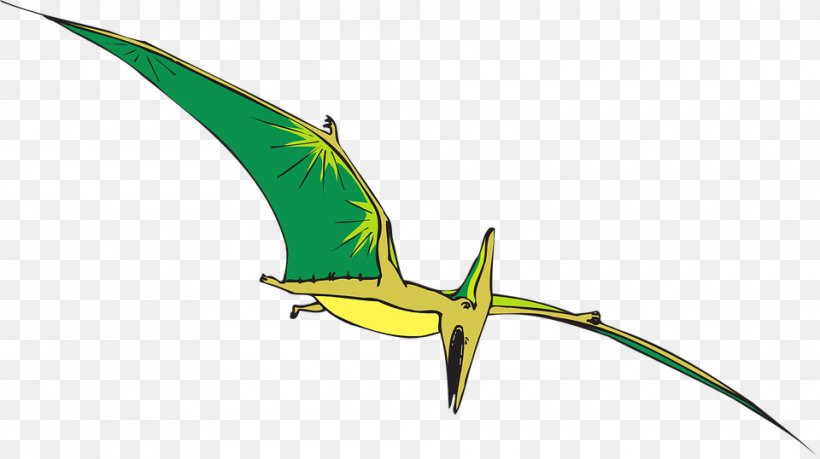 Pterodactyls Pterosaurs Dinosaur Pteranodon Clip Art, PNG, 960x538px, Pterodactyls, Animation, Beak, Bird, Cartoon Download Free