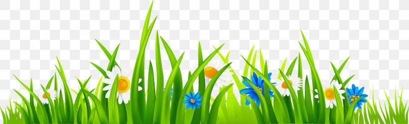 Royalty-free Lawn Grass Garden Green, PNG, 1600x487px, Royaltyfree, Cc0 Licence, Garden, Grass, Green Download Free