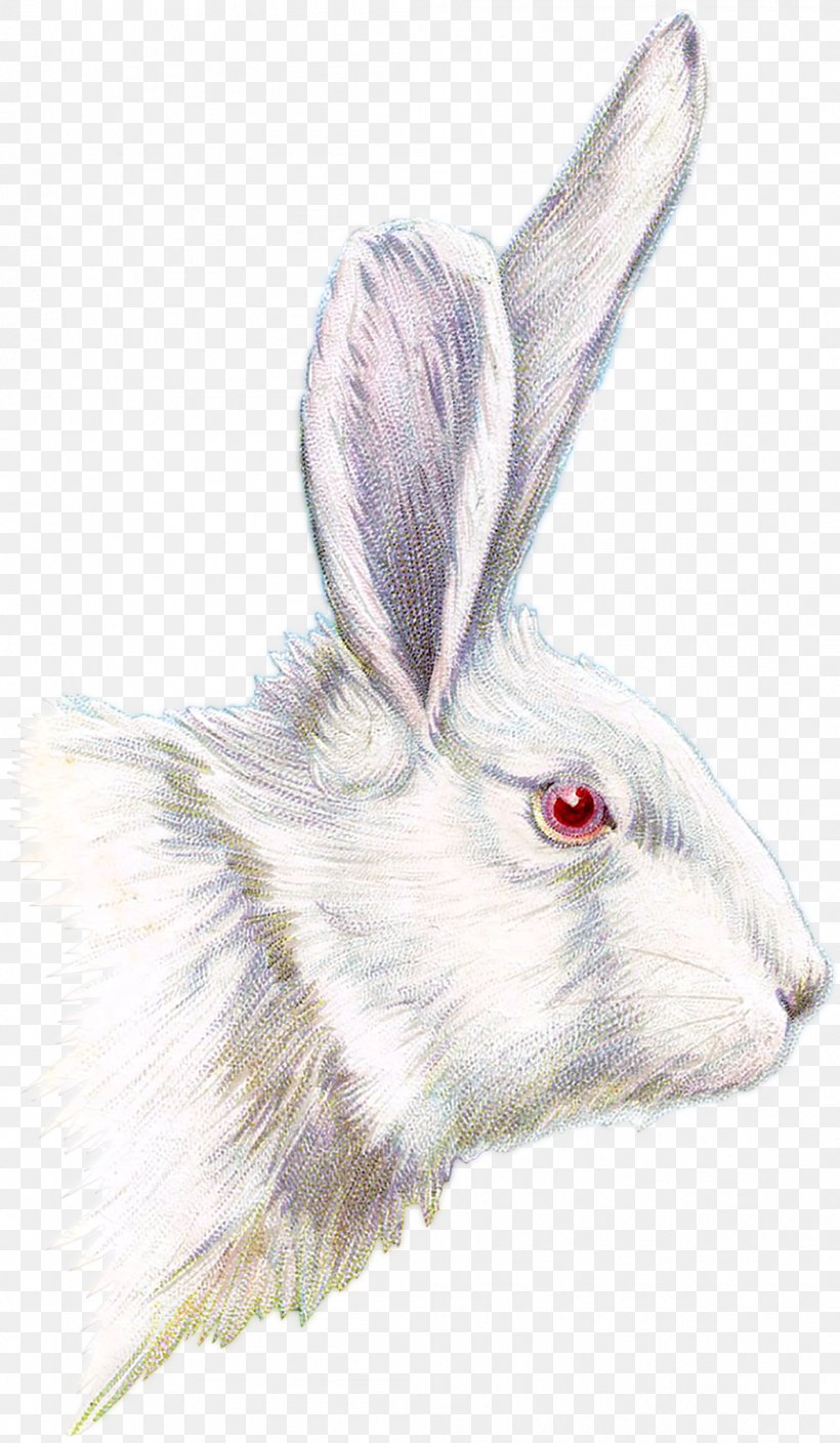 Easter Bunny Drawing Clip Art, PNG, 1048x1800px, Watercolor, Cartoon, Flower, Frame, Heart Download Free