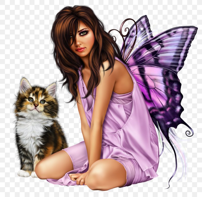 Fairy Kitten Cat Woman The Treachery Of Images, PNG, 800x800px, Fairy, Art, Black Hair, Brown Hair, Butterfly Download Free