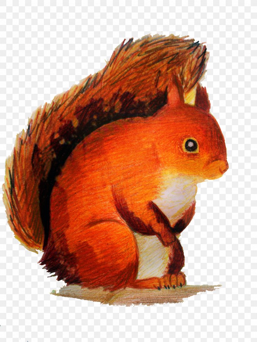 Tree Squirrel Clip Art Rodent, PNG, 2112x2816px, Squirrel, Animal, Animal Figure, Cat, Drawing Download Free