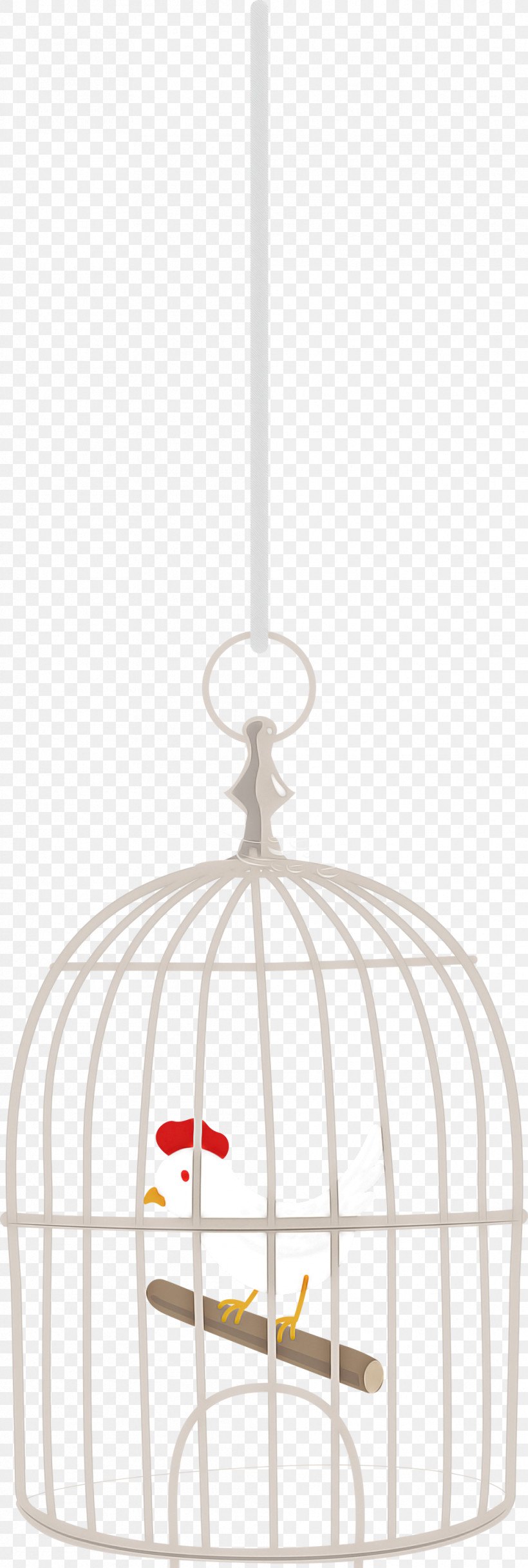 Bird Cage, PNG, 1011x3000px, Bird Cage, Ceiling Fixture, Flowerpot, Lawn, Light Fixture Download Free