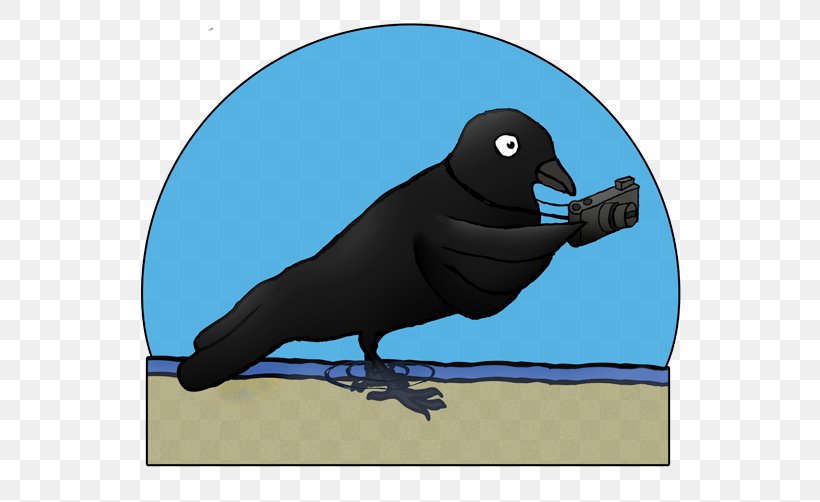 Bird Logo, PNG, 600x502px, Crow, Beak, Bird, Cornish Language, Cornwall Download Free