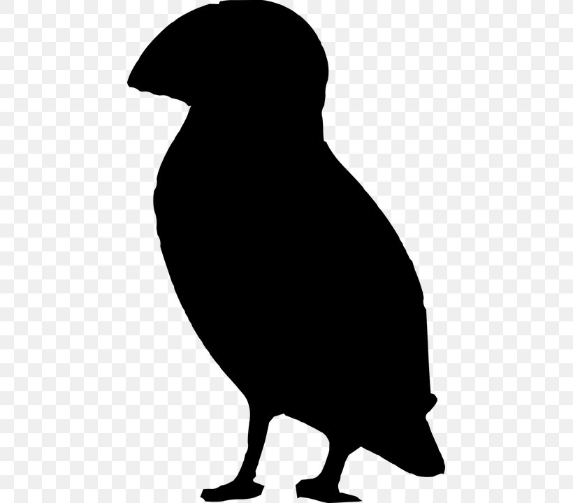 Bird Silhouette Beak Atlantic Puffin Clip Art, PNG, 455x720px, Bird, Atlantic Puffin, Beak, Black, Black And White Download Free