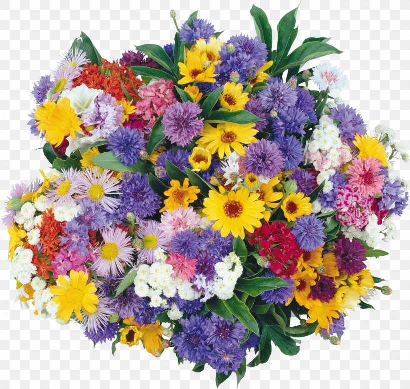 Birthday Animation Flower Bouquet Desktop Wallpaper, PNG, 1280x1217px, Birthday, Animation, Annual Plant, Artificial Flower, Aster Download Free