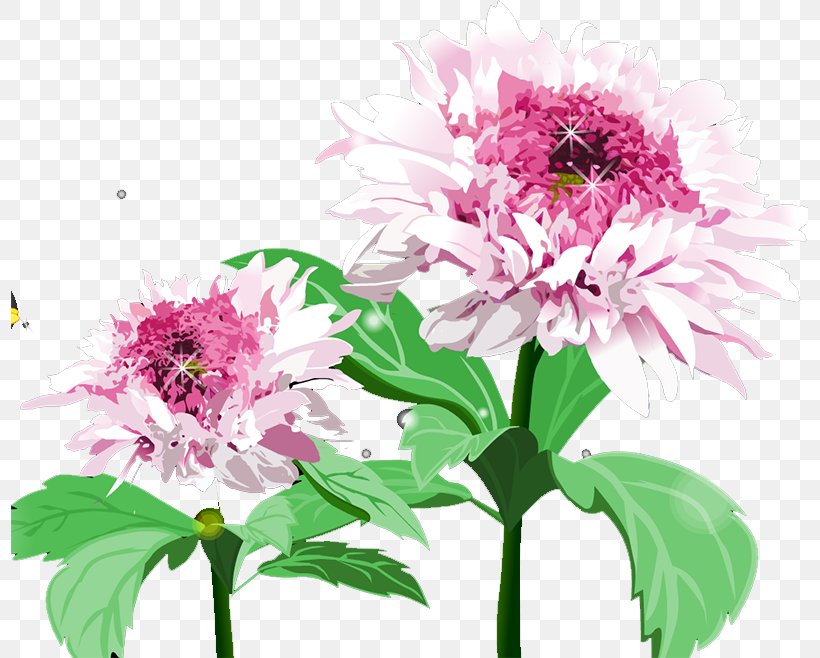 Floral Design Chrysanthemum Cut Flowers, PNG, 797x658px, Floral Design, Annual Plant, Chrysanthemum, Chrysanths, Cut Flowers Download Free