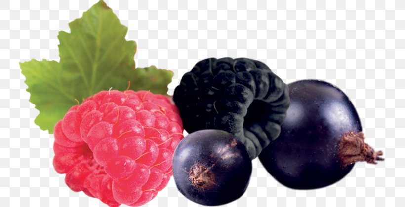 Granita Sicilian Cuisine Snow Cone Fruit Food, PNG, 746x420px, Granita, Auglis, Berry, Bilberry, Blackberry Download Free