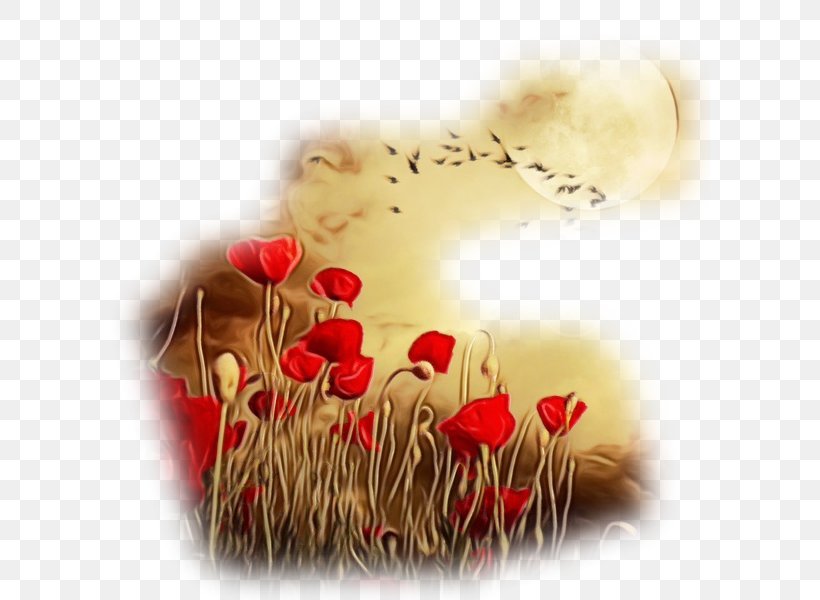 Red Love Coquelicot Plant Flower, PNG, 600x600px, Watercolor, Coquelicot, Flower, Heart, Love Download Free