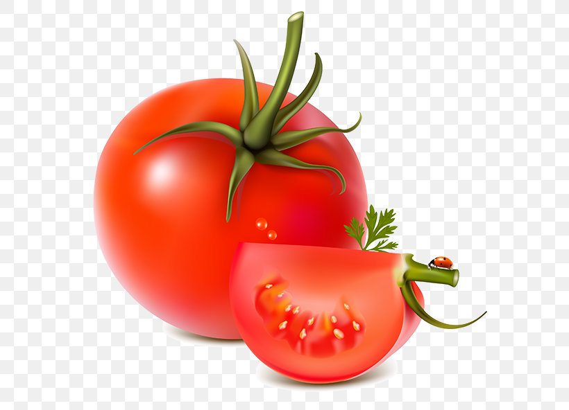 Vegetable Tomato, PNG, 600x592px, Vegetable, Bush Tomato, Diet Food, Food, Fruit Download Free