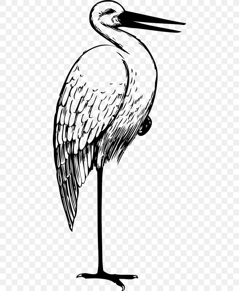 White Stork Crane Bird The Stork Clip Art, PNG, 500x1000px, White Stork, Art, Artwork, Beak, Bird Download Free