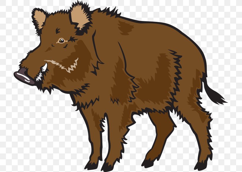 Wild Boar Common Warthog Clip Art, PNG, 727x583px, Wild Boar, Bear, Bison, Boar Hunting, Bull Download Free