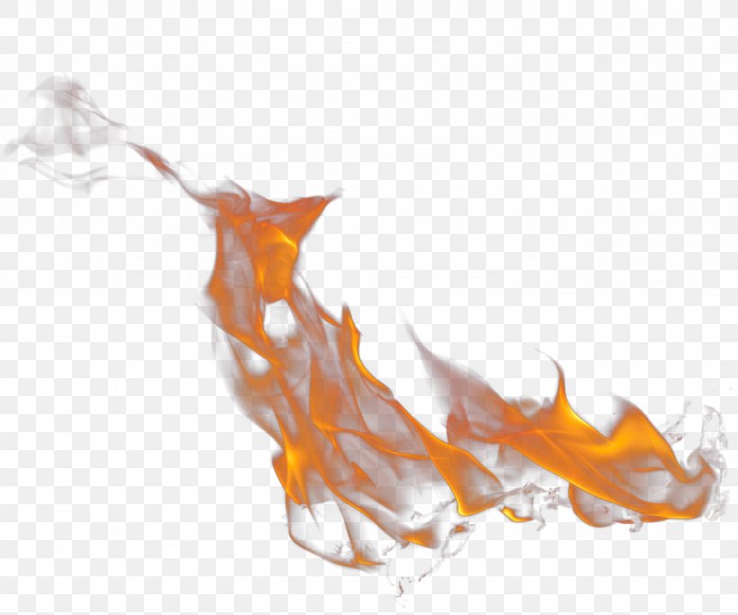 Fire Transparency And Translucency PhotoScape Clip Art, PNG, 1281x1068px, Fire, Fish, Flame, Gimp, Image File Formats Download Free