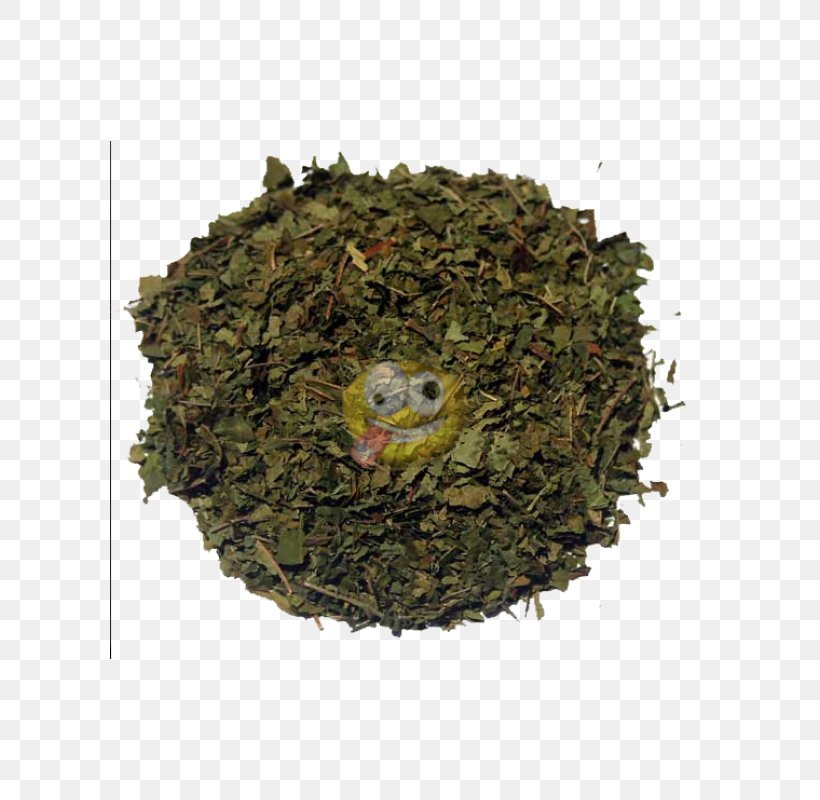 Kratom Herb Psychoactive Drug Leaf, PNG, 600x800px, Watercolor, Cartoon, Flower, Frame, Heart Download Free