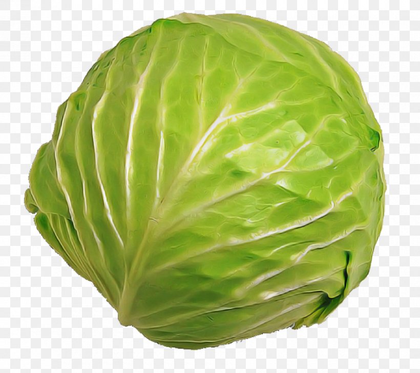 Cabbage Iceburg Lettuce Vegetable Wild Cabbage Savoy Cabbage, PNG, 900x800px, Cabbage, Food, Iceburg Lettuce, Leaf, Leaf Vegetable Download Free