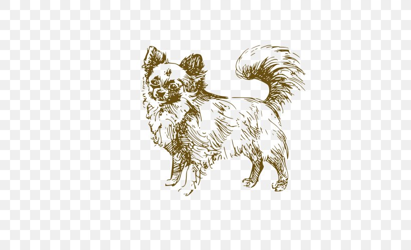 Jack Russell Terrier Puppy Drawing Illustration, PNG, 500x500px, Jack Russell Terrier, Carnivoran, Collie, Cuteness, Dog Download Free