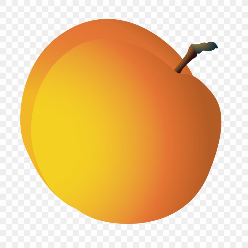 Orange Grapefruit Pomelo, PNG, 1500x1501px, Orange, Apple, Cartoon, Data, Drawing Download Free