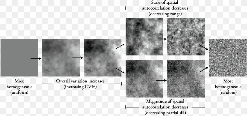 Spatial Heterogeneity Floor Angle White Font, PNG, 1000x471px, Floor, Area, Black And White, Monochrome, Monochrome Photography Download Free