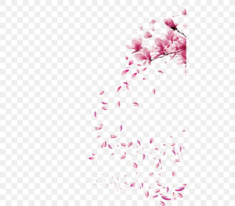 Watercolor Painting Cherry Blossom Brush, PNG, 480x720px, Watercolor Painting, Blossom, Branch, Brush, Cherry Blossom Download Free