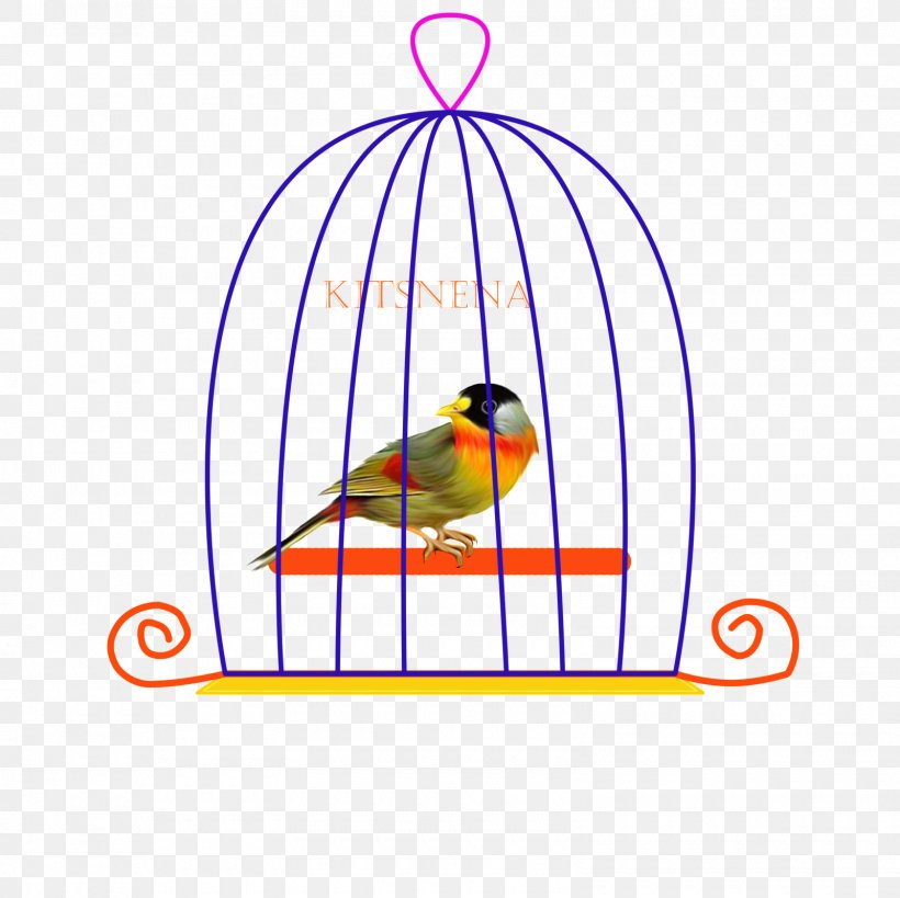 Bird Macaw Clip Art Beak Line, PNG, 1600x1600px, 4k Resolution, Bird, Beak, Bird Supply, Cage Download Free