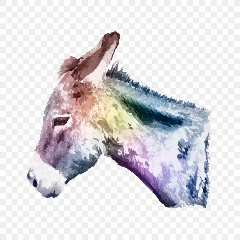 Donkey Watercolor Painting, PNG, 2000x2000px, Donkey, Art, Artist, Drawing, Horse Download Free