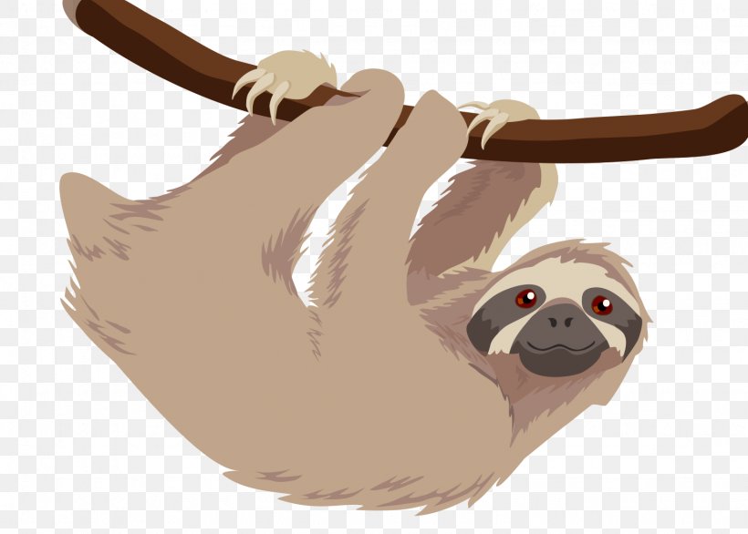 Hoffmann's Two-toed Sloth T-shirt Baby Sloths Three-toed Sloth, PNG, 1536x1098px, Sloth, Baby Sloths, Bag Tag, Carnivoran, Clothing Download Free