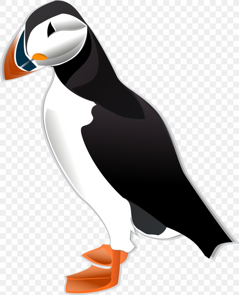 Bird Atlantic Puffin Clip Art, PNG, 1943x2400px, Bird, Atlantic Puffin, Auk, Beak, Charadriiformes Download Free