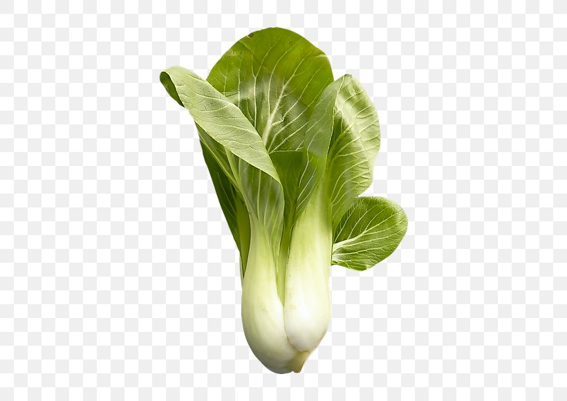 Chard Chinese Cabbage Vegetable Cauliflower, PNG, 580x580px, Chard, Anthurium, Bok Choi, Broccoli, Cabbage Download Free