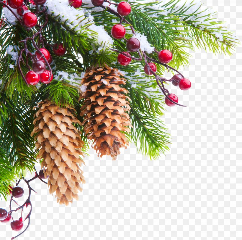 Christmas Tree Christmas Ornament Christmas Decoration Christmas Card, PNG, 5109x5055px, Christmas Tree, Branch, Christmas, Christmas And Holiday Season, Christmas Card Download Free