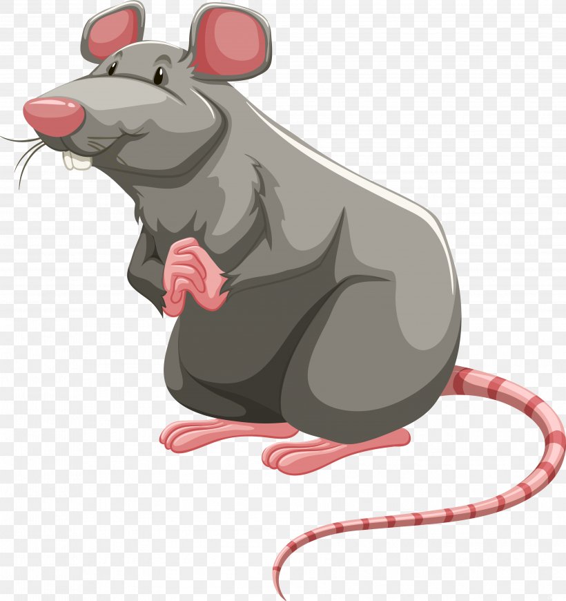 Laboratory Rat Brown Rat Rodent Clip Art, PNG, 3563x3782px, Laboratory Rat, Art, Brown Rat, Can Stock Photo, Mammal Download Free